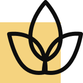 Wycieczki rowerowe